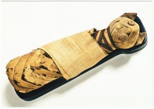 Postcard of Cat Mummy from Egypt Ptolemaic Kingdom - Modern Postcard