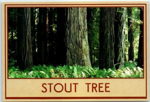Postcard - Stout Tree, Jedediah D. Smith Redwood State Park - Crescent City, CA