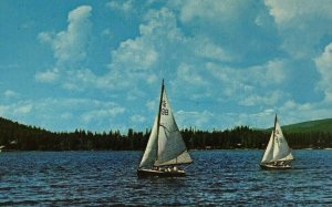 Grand Lake CO Postcard Regatta Time Sailboats Sailing Colorado