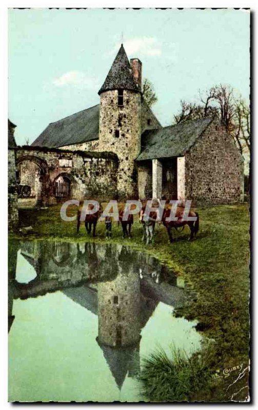 Normandy Modern Postcard L & # 39abreuvoir (horse riding horses)