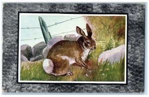 c1910's Gray Rabbit Or Cottontail Harvey Animals Unposted Antique Postcard