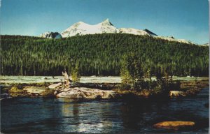 Tuolumne Meadows Yosemite National Park California Postcard C154