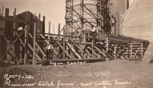 RPPC  1912  Plain View Stockyard  Logan  Kansas  New Cattle Barn    Postcard