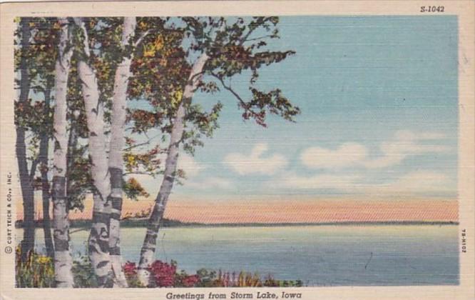 Iowa Greetings From Storm Lake 1953 Curteich