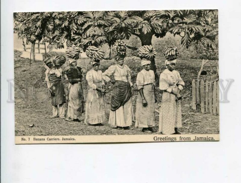 3172178 GREETINGS from JAMAICA Banana carriers Old postcard