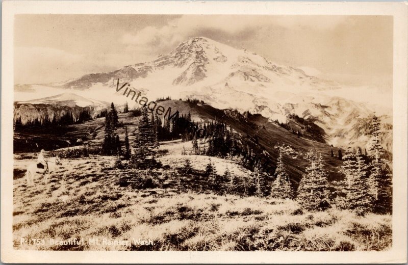 Beautiful Mt. Rainier Washington Real Photo Postcard PC228