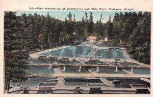 OR, Oregon   FISH HATCHERIES~BONNEVILLE  Columbia River Highway   1923 Postcard