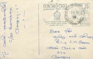 Entier Postal Stationery Postal Sri Lanka Ceylon Lion