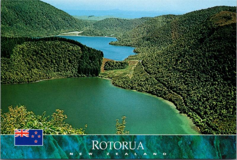 Road to Buried Village Rotorua New Zealand NZ Unused Vintage Repro Postcard D45