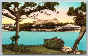 Hand Colored   Hamilton  Bermuda  The Bermudiana Hotel  Postcard