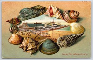 1907 Young's Pier Atlantic City New Jersey NJ Entertainment Area Posted Postcard