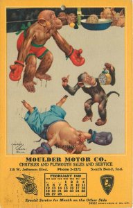 Postcard 1939 Indiana South Bend Lawsonwood Monkey boxing comic humor IN24-1429