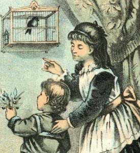 1880s Union Package Dyes List Of Colors Children & Bird In Cage P216