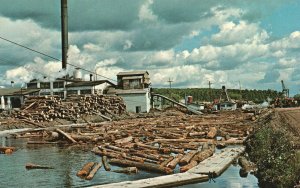 Vintage Postcard Sawmill Menominee Indian Lumber Industry Logs Neopit Wisconsin