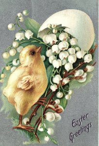 c1910 EASTER GREETINGS JACKSON WISCONSIN BABY CHICK FLOWERS EMBOSS POSTCARD P349