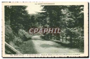 Postcard Old Loire Picturesque Mont Pilat through Bessat Road Wood Cret Partr...