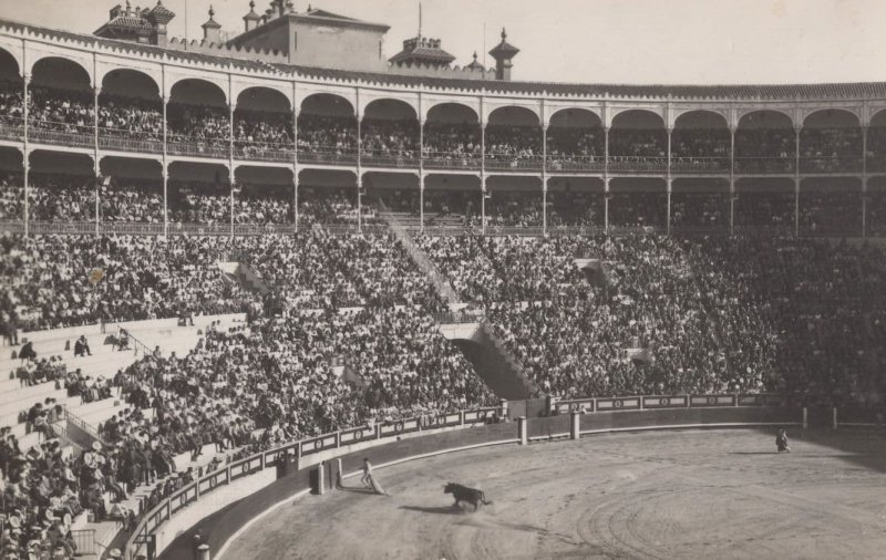 Madrid Matador Chased By Bull Bullfight Real Photo Postcard