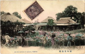 PC TOKYO IRIS GARDEN AT HORIKIRI TINTED JAPAN (a32530)