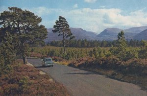 Larig Ghru Colyumbridge Glenmore Road Car Passing at Hill Walkers Gap Postcard