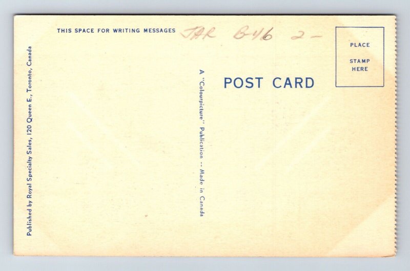 Toronto Canada Scenic Birds Eye View City Skyline Buildings Linen Postcard 