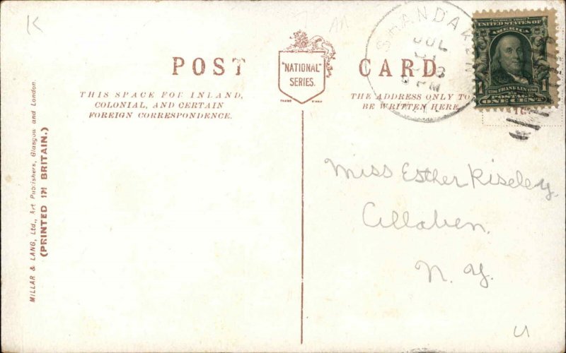 Pug Dog Mama & Puppies c1910 Postcard