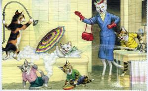 Mainzer - Bathtub Fun, Mom's Disaster - Cat Postcard