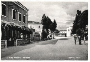 Postcard Albaro Vescova Trieste Skofige Street View Trieste Italy