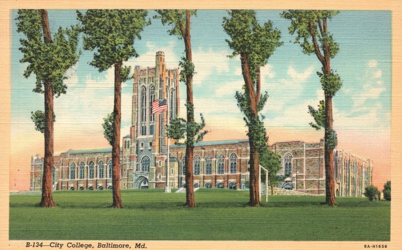 Vintage Postcard City College Campus Building Baltimore Maryland I. & M. Pub.