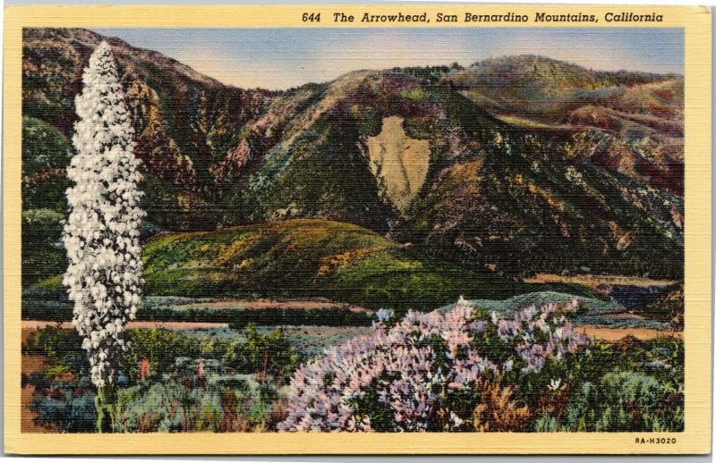 The Arrowhead, San Bernadino Mountains California postcard