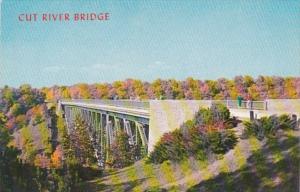 Michigan Mackinaw County Cut River Bridge