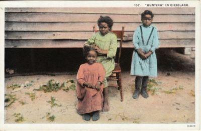 BLACK AMERICANA   HUNTING in DIXIELAND / 3 GIRLS  postcard