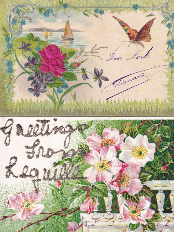 Butterfly Moth 2x German Silk Type Antique Greeting Postcard s