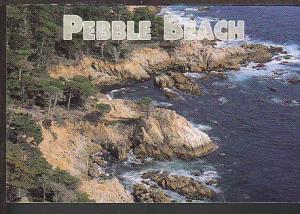 Pebble Beach CA Postcard BIN 