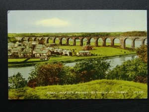 Northumberland BERWICK ON TWEED Royal Border Bridge - Old Postcard by Valentine