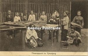 indonesia, JAVA TJIKADJANG, Tea Report (1910s)