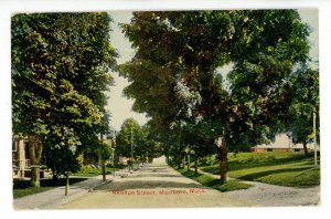 MA - Marlboro. Newton Street circa 1912