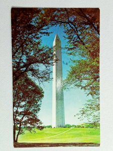 Vintage Postcard The Washington Monument The Capital Lincoln Memorial D.C.