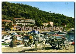 Modern Postcard The Riviera Riviera Island Port Cros Little Harbor