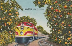 Trains Streamliner Passing Thru An Orange Grove In Florida