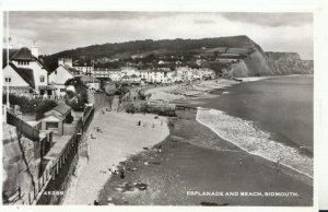 Devon Postcard - The Esplanade and Beach - Sidmouth - Real Photo - Ref 8604A