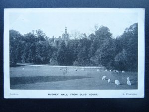 Hertfordshire BUSHY HALL From The Golf Club House c1912 Postcard by Jacolette