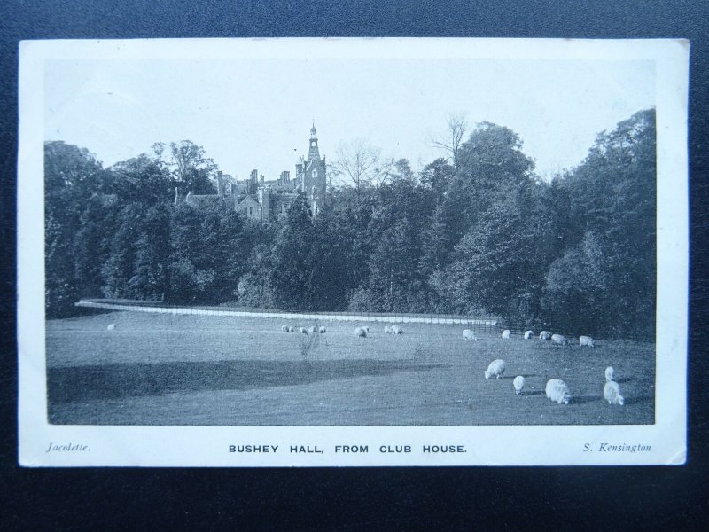 Hertfordshire BUSHY HALL From The Golf Club House c1912 Postcard by Jacolette