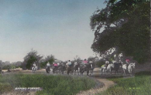 Epping Forest Riding Horses Hunting Horse Race London Old Postcard