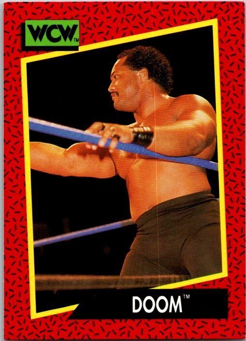 1991 WCW Wrestling Card DOOM Rob Simmons Butch Reed sk21209