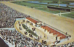 Horse Racing Paddock and Walking Ring Garden State Park Delaware Townshio New...