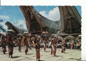 Indonesia Postcard - Manganda Dance at Siguntu - Toraja Land - Sulawesi - 17743A