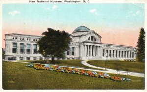 View of New National Museum Building Washington D. C. Vintage Postcard