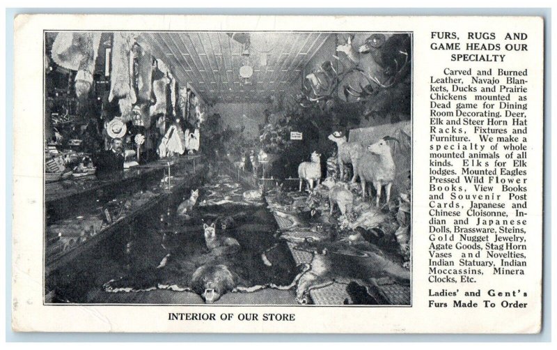 McFadden Taxidermy Fur Store Interior View Denver Colorado CO Unposted Postcard