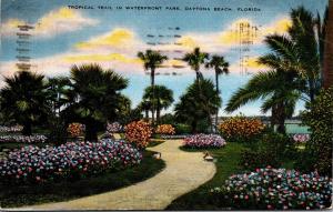 Florida Daytona Beach Tropical Trail In Waterfront Park 1946