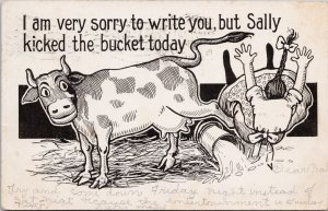 Comic Cow Woman Knocked Over Sally Kicked The Bucket c1908 LE West Postcard H30